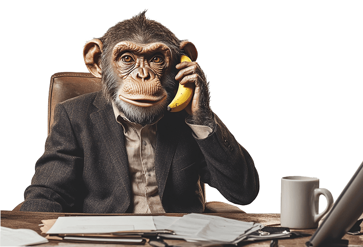 Blue Monkeys Kontakt — Affe winkt